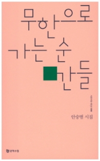 무한으로 가는 순간들 (시인수첩시인선 9)